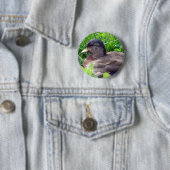 Ruf-Erpel Button (Beispiel)