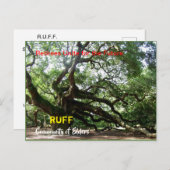 RUFF-Organisationskarte Postkarte (Vorne/Hinten)