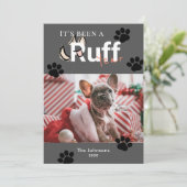 Ruff Year Dark Gray Hund Foto Weihnachten (Stehend Vorderseite)