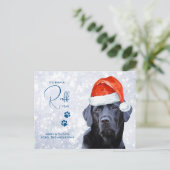 Ruff Year in Review Labrador Retriever Dog Lover Postkarte (Stehend Vorderseite)