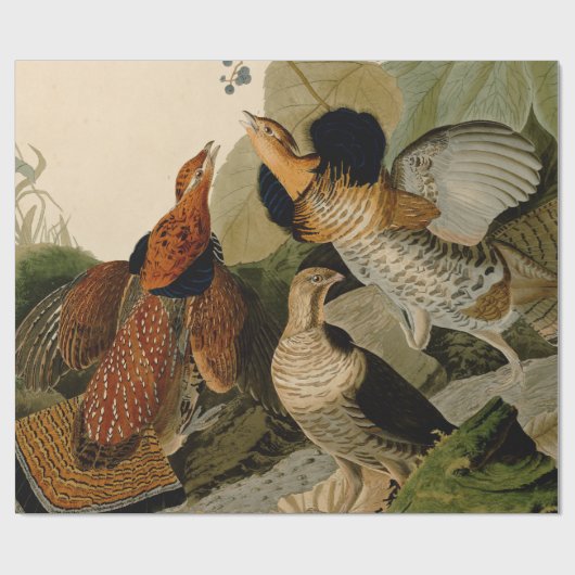 Ruffed Grouse Audubon Game Bird Geschenkpapier (Flach)