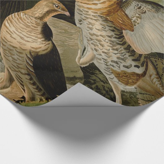 Ruffed Grouse Audubon Game Bird Geschenkpapier (Ecke)