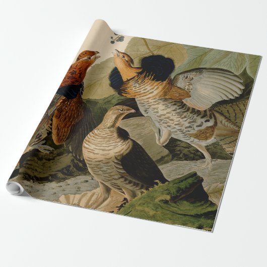 Ruffed Grouse Audubon Game Bird Geschenkpapier (Ungerollt)