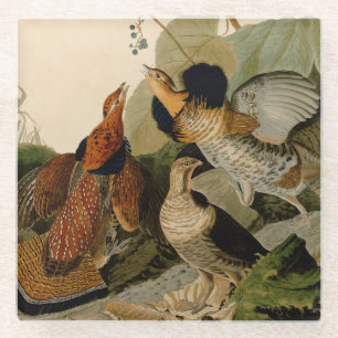 Ruffed Grouse Audubon Game Bird Glasuntersetzer