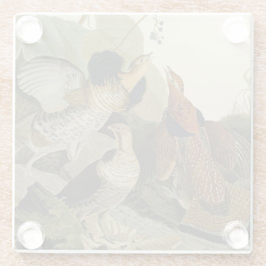 Ruffed Grouse Audubon Game Bird Glasuntersetzer (Rückseite)
