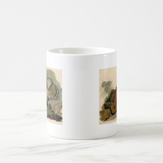 Ruffed Grouse Audubon Game Bird Kaffeetasse (Mittel)