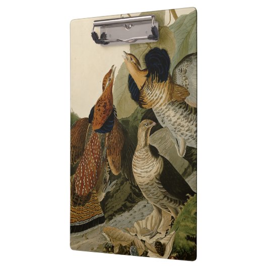 Ruffed Grouse Audubon Game Bird Klemmbrett (Links)
