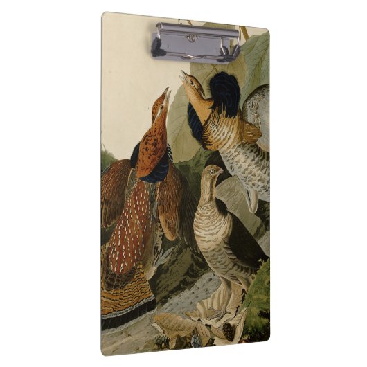 Ruffed Grouse Audubon Game Bird Klemmbrett (Rechts)