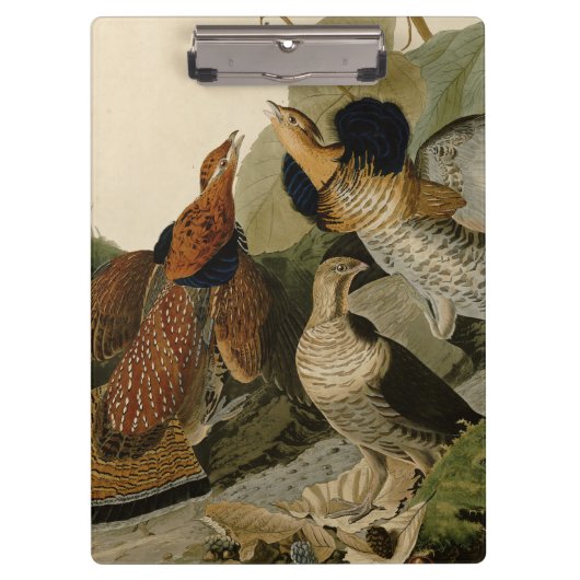 Ruffed Grouse Audubon Game Bird Klemmbrett (Vorderseite)