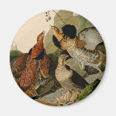 Ruffed Grouse Audubon Game Bird Magnet (Vorne)