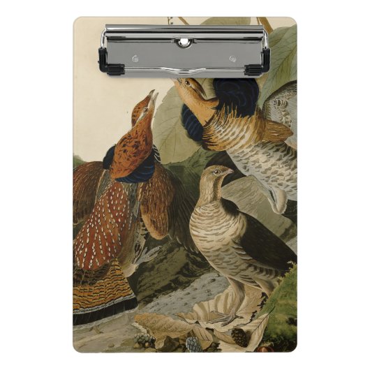 Ruffed Grouse Audubon Game Bird Mini Klemmbrett (Vorderseite)