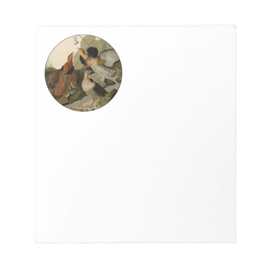 Ruffed Grouse Audubon Game Bird Notizblock (Vorderseite)