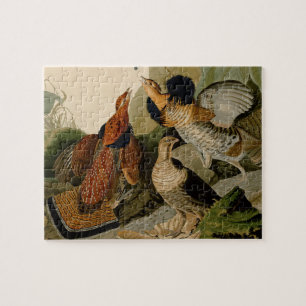 Ruffed Grouse Audubon Game Bird Puzzle