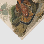 Ruffed Grouse Audubon Game Bird Seidenpapier (Ausschnitt)