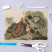 Ruffed Grouse Audubon Game Bird Seidenpapier (Handwerk)