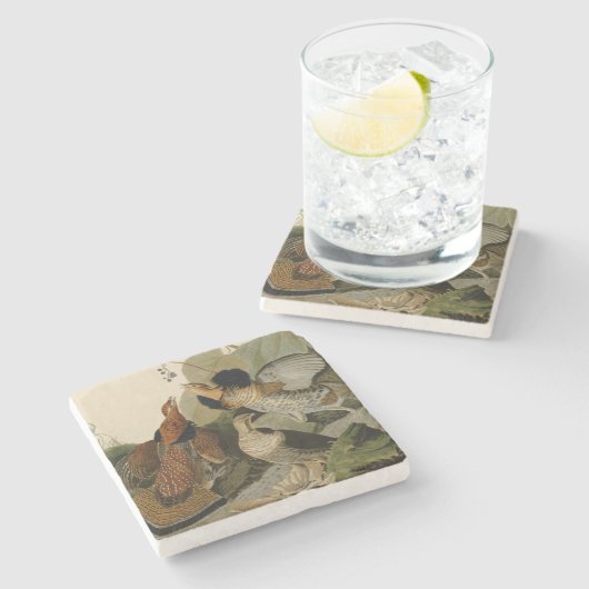 Ruffed Grouse Audubon Game Bird Steinuntersetzer (Seitenansicht)