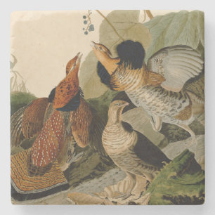 Ruffed Grouse Audubon Game Bird Steinuntersetzer