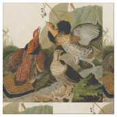 Ruffed Grouse Audubon Game Bird Stoff (Nahaufnahme)