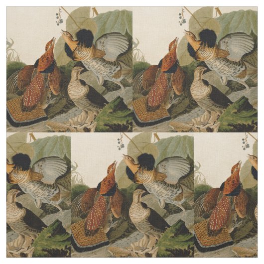 Ruffed Grouse Audubon Game Bird Stoff (Muster)