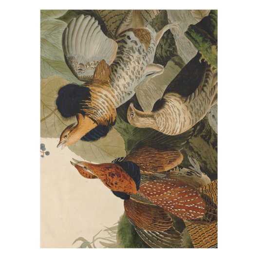 Ruffed Grouse Audubon Game Bird Tischdecke (Vorderseite)