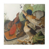 Ruffed Grouse Audubon Wildlife Painting Fliese (Vorderseite)