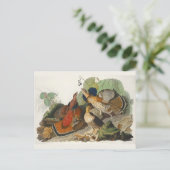 Ruffed Grouse Audubon Wildlife Painting Postkarte (Stehend Vorderseite)