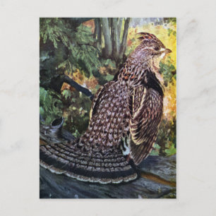 Ruffed Grouse im Wald Postkarte