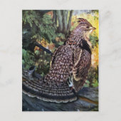 Ruffed Grouse im Wald Postkarte (Vorderseite)