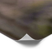 Ruffed Grouse Poster (Ecke)