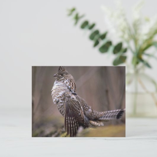 Ruffed Grouse Postkarte (Stehend Vorderseite)