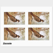 Ruffed Grouse Rechteckiger Aufkleber (Blatt)