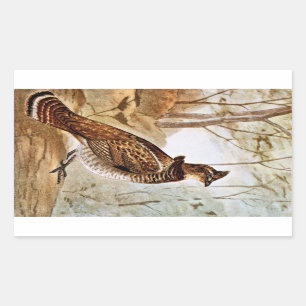 Ruffed Grouse Rechteckiger Aufkleber