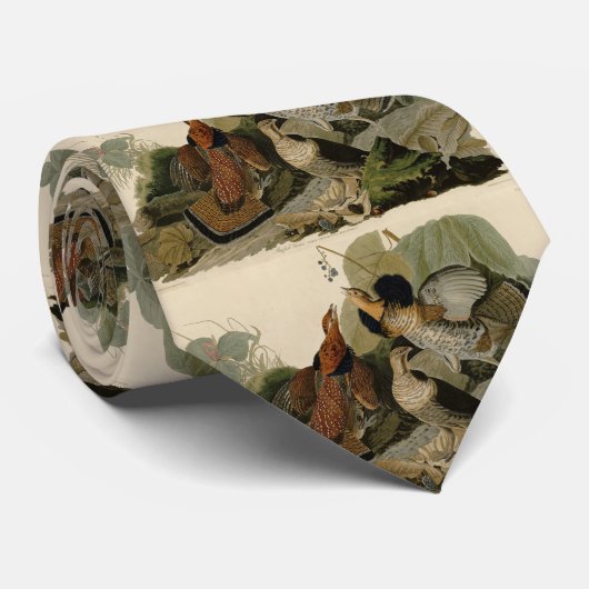 Ruffed Grouse - von Audubons Vögeln in Amerika Krawatte (Gerollt)