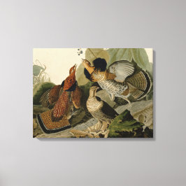 Ruffed Grouse von John Audubon Leinwanddruck