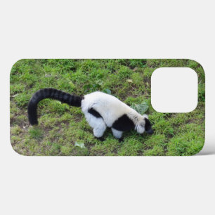 Ruffed Lemur #1 iPhone 13 Pro Case