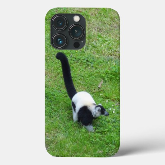 Ruffed Lemur #4 iPhone 13 Pro Case (Rückseite)
