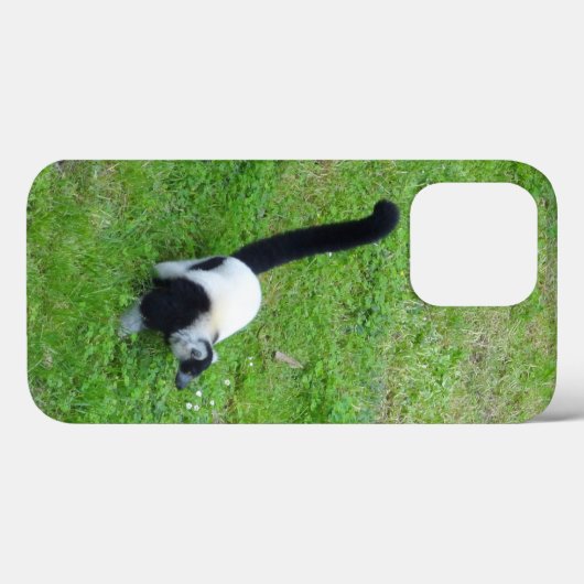 Ruffed Lemur #4 iPhone 13 Pro Case (Rückseite (Horizontal))