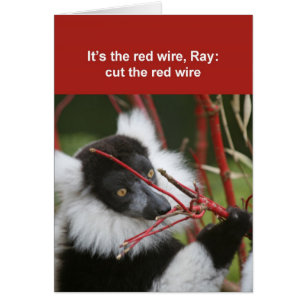 Ruffed Lemur-Karte