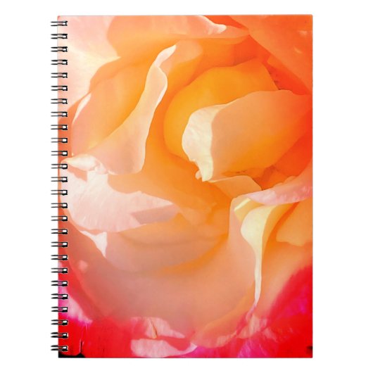 Ruffle Rose Notebook Notizblock (Vorderseite)