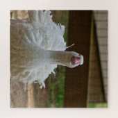 Ruffled Goose Puzzle (Horizontal)
