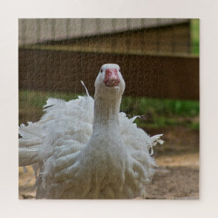 Ruffled Goose Puzzle