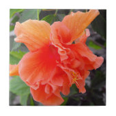 Ruffled Orange Blume Fliese (Vorderseite)