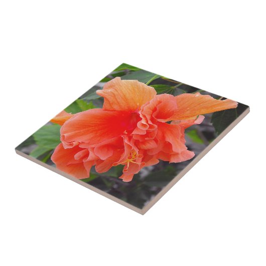 Ruffled Orange Blume Fliese (Seite)