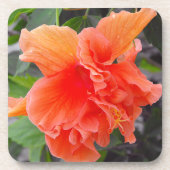 Ruffled Orange Blume Untersetzer (Vorderseite)
