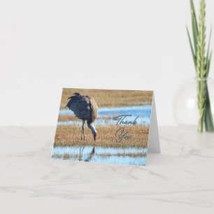 Ruffled Sandhill Crane Foto Danke Karte