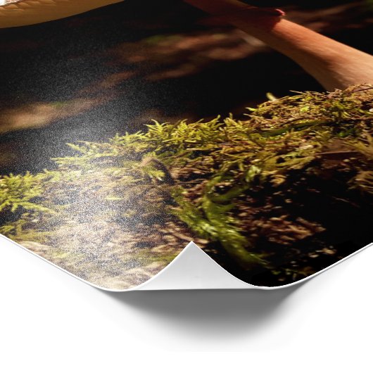 Ruffles Fotodruck (Ecke)