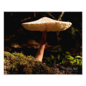 Ruffles Fotodruck (Vorne)