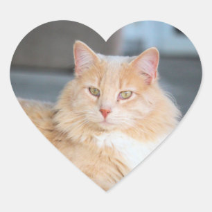 Ruffles Herz-Aufkleber