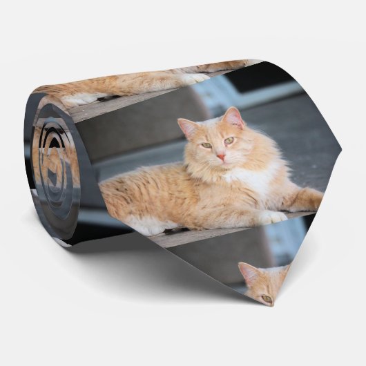 Ruffles Krawatte (Gerollt)