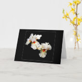 'Ruffles' leere Grußkarte Karte (Gelbe Blume)